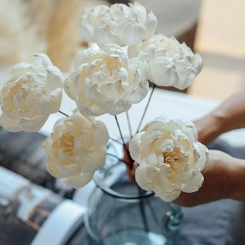 Scent Reed Diffuser Flower Eco-Friendly Handmade Peony Sola Flowers Wood Flower