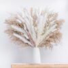Bohemian Style Pampas Grass Natural Dried Reed for Wedding Home Decor