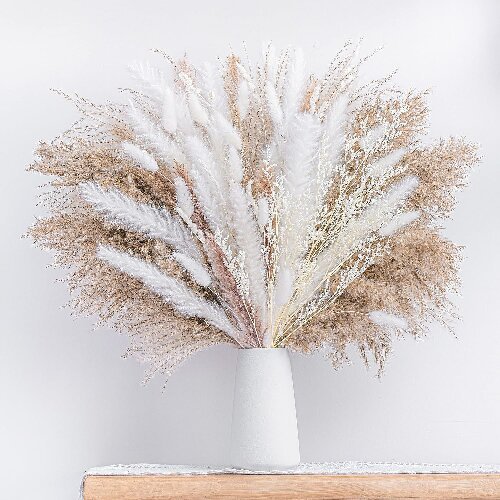 Bohemian Style Pampas Grass Natural Dried Reed for Wedding Home Decor