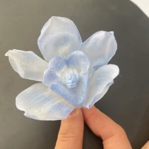 Preserved Orchid Eternal Natural Flowers Real Orchid Forever Flowers for Wedding