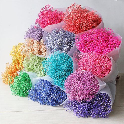 Natural Dried Preserved Gypsophila Flower Babysbreath