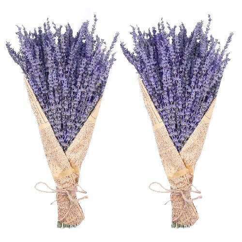 Preserved lavender dried flowers bunches home decor