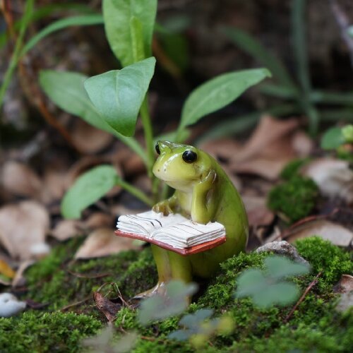 Reading Animal Figurines Fairy for Garden Terrarium