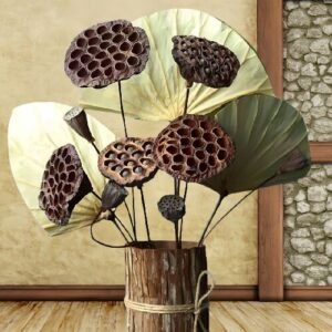 Natural dried lotus flowers for home decor, dried flower