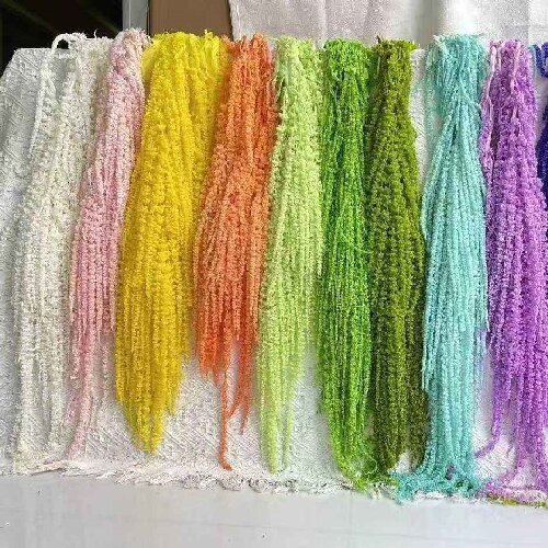 Natural Real Plants Amaranth Flower Preserved Amaranthus for Wedding Decoration