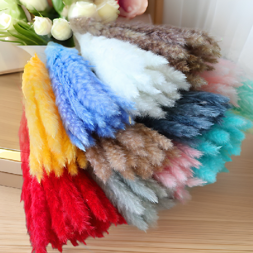 Dried flowers small pampas grass natural flower