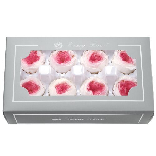 Preserved austin roses flowers eternal flower head