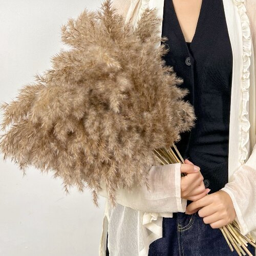 Dried flowers small reed pampas grass home decor