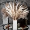 Bohemian Style Pampas Grass Natural Dried Reed for Wedding Home Decor