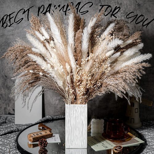 Bohemian Style Pampas Grass Natural Dried Reed for Wedding Home Decor