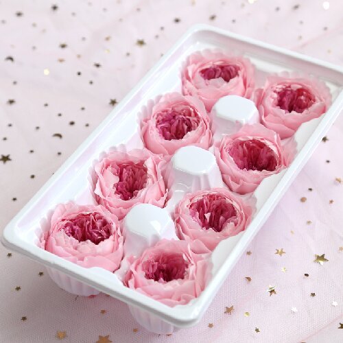 Preserved austin roses flowers eternal flower head