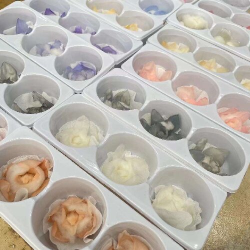 Preserved Orchid Eternal Natural Flowers Real Orchid Forever Flowers for Wedding