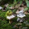 Reading Animal Figurines Fairy for Garden Terrarium