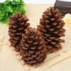 Natural Pine Cones Christmas Craft Dried Flower