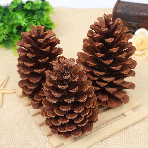 Natural Pine Cones Christmas Craft Dried Flower