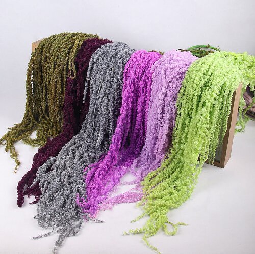Natural Real Plants Amaranth Flower Preserved Amaranthus for Wedding Decoration