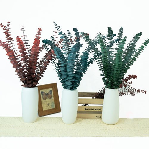 Eucalyptus leaves dried flowers preserved eucalyptus