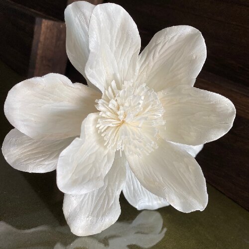 Magnolia Flower Artificial Sola Flowers for Home Decor