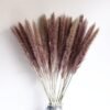 Dried flowers small pampas grass natural flower
