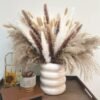 Bohemian Style Pampas Grass Natural Dried Reed for Wedding Home Decor