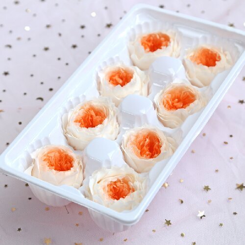 Preserved austin roses flowers eternal flower head