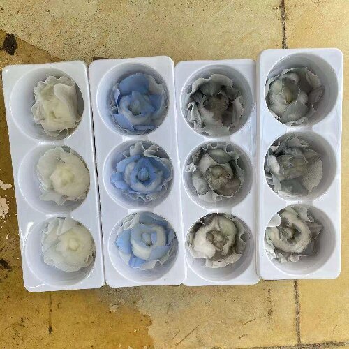 Preserved Orchid Eternal Natural Flowers Real Orchid Forever Flowers for Wedding