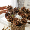 Natural oil pine cones dried flower Christmas decoration
