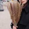 Dried flowers small pampas grass natural flower