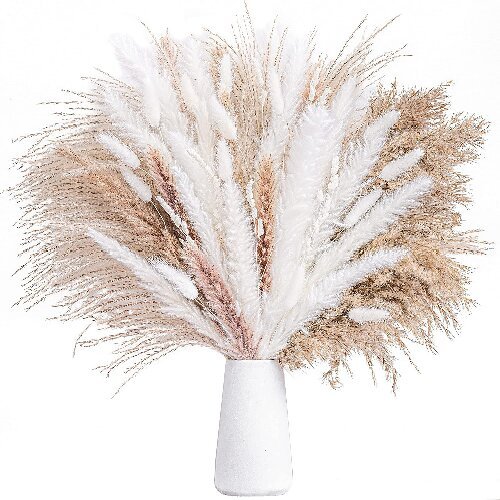 Bohemian Style Pampas Grass Natural Dried Reed for Wedding Home Decor