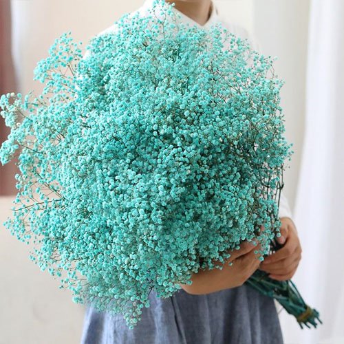 Natural Dried Preserved Gypsophila Flower Babysbreath