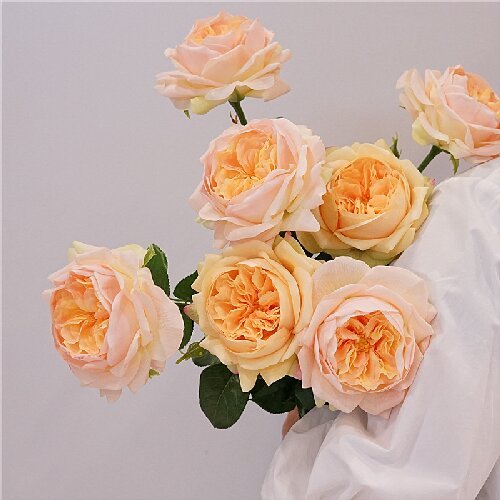 Artificial Real Touch Silk Latex Coated Faux Austin Rose