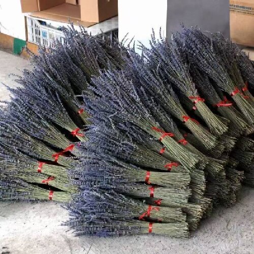 Preserved lavender dried flowers bunches home decor