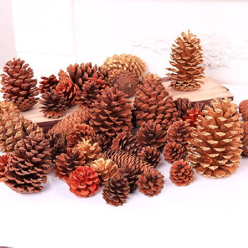 Natural Pine Cones Christmas Craft Dried Flower