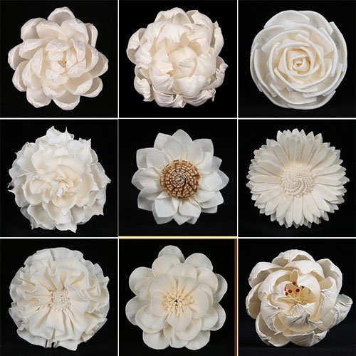 Fragrance Reed Diffuser Sola Flowers Perfume Bottle Flower