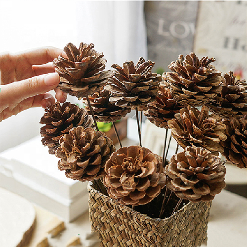 Natural oil pine cones dried flower Christmas decoration
