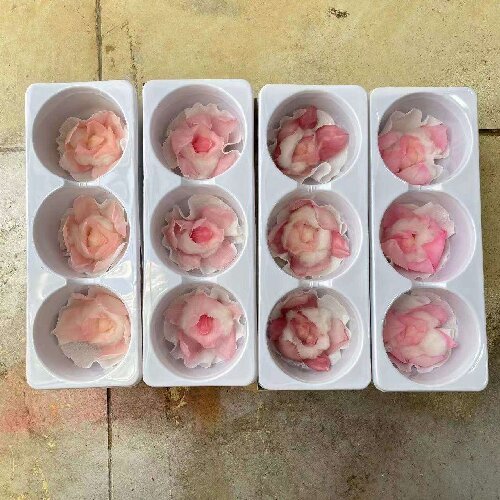 Preserved Orchid Eternal Natural Flowers Real Orchid Forever Flowers for Wedding