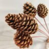 Natural Pine Cones Christmas Craft Dried Flower