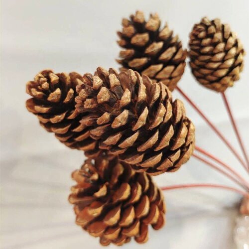 Natural Pine Cones Christmas Craft Dried Flower