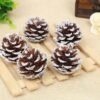 Natural oil pine cones dried flower Christmas decoration
