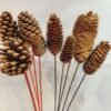 Natural Pine Cones Christmas Craft Dried Flower