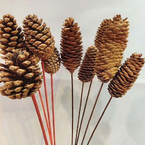 Natural Pine Cones Christmas Craft Dried Flower