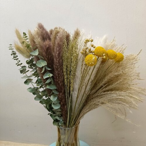 Dried flowers small pampas grass natural flower
