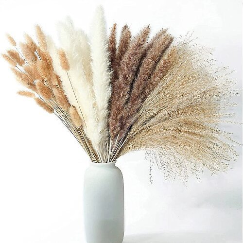 Bohemian Style Pampas Grass Natural Dried Reed for Wedding Home Decor