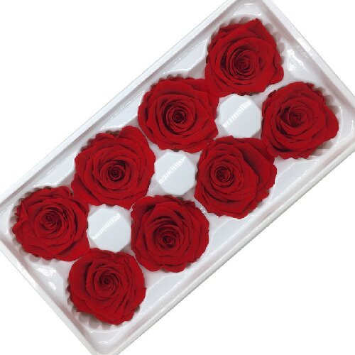 Preserved rose buds natural rose head flowers eternal flower bouquet arrangement