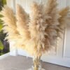 Boho Wedding Decor Dry Pampas Grass Flower Natural Real Dried Pampas Grass