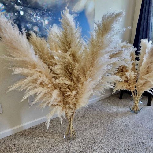 Boho Wedding Decor Dry Pampas Grass Flower Natural Real Dried Pampas Grass