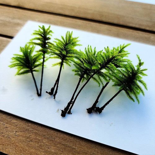 Preserved moss terrarium tree moss, micro landscape art