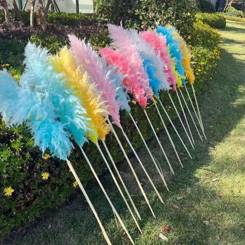 Boho Wedding Decor Dry Pampas Grass Flower Natural Real Dried Pampas Grass