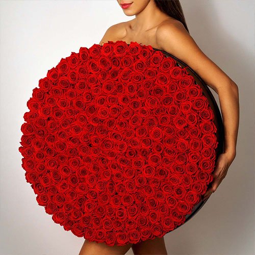 Preserved roses flower in a box, gift for girlfriend