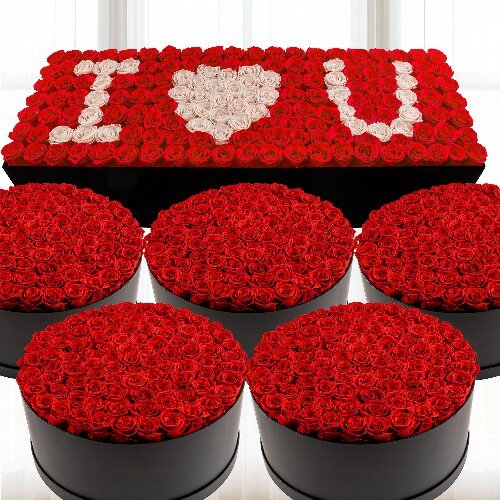 Preserved roses box real flower gift box for Christmas